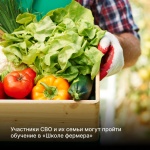 В Прикамье участникам СВО и их семьям помогут в открытии своего дела в аграрной сфере