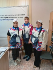 В Прикамье проходит подомовой обход избирателей