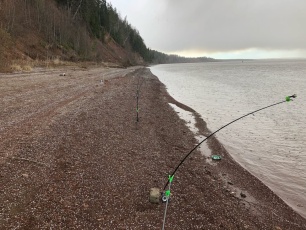 Уведомление о проведении общественных обсуждений в форме общественных слушаний по объекту государственной экологической экспертизы