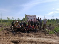 На территории Купросского участкового лесничества прошла акция "Сад памяти"