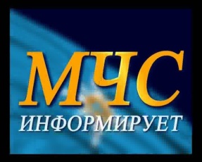 1 мая местами по Пермскому краю прогнозируются порывы ветра до 17 м/с.