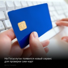 Жители Прикамья могут узнать, сколько сим-карт на них оформлено