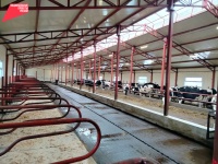 В Юсьвинском муниципальном округе открыли новый животноводческий комплекс