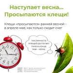 Как защититься от клещей: что важно знать о специальных средствах