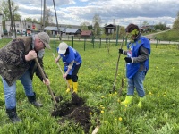 В Юсьвинском муниципальном округе высадили "Сад памяти"