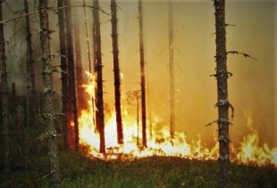 Пресс-релиз о прохождении опасных метеорологических явлений