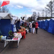 Весенние сельскохозяйственные ярмарки состоялись в мае в Юсьвинском муниципальном округе