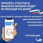 Как принять участие в выборах не выходя из дома?