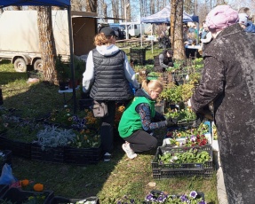 В Юсьвинском муниципальном округе пройдут сельскохозяйственные ярмарки