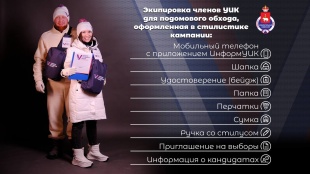 На выборах Президента по всей России и в Пермском крае с 17 февраля члены избирательных комиссий начнут поквартирное и подомовое информирование избирателей