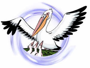 Голосование за участников регионального этапа Всероссийского «Учитель года России» 2024 года