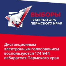 Дистанционным электронным голосованием воспользуются 174 944 избирателя Пермского края