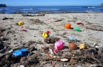 Опасная традиция: выпускание шаров в небо