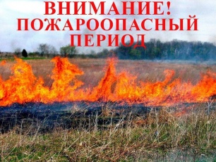 10-15.08 в Прикамье прогнозируется высокая пожарная опасность в лесах! 
