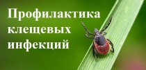 Профилактика инфекций, предающихся клещами