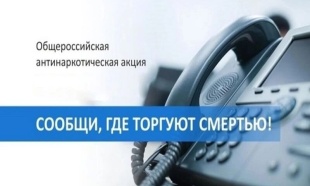 В Прикамье пройдет первый этап Общероссийской акции «Сообщи, где торгуют смертью»