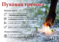 Меры пожарной безопасности при распространении тополиного пуха