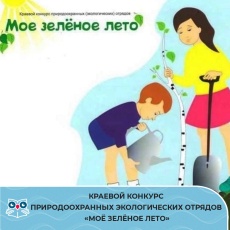 Приглашаем к участию в краевом конкурсе природоохранных экологических отрядов "Моё зеленое лето"