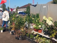 В Юсьвинском муниципальном округе прошли осенние сельскохозяйственные ярмарки